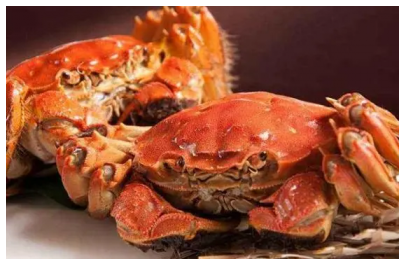 凍螃蟹是蒸還是煮，哪種方式更好